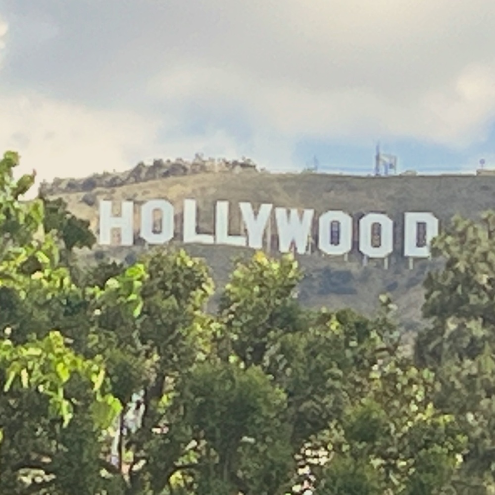 Meet your Posher, Shane